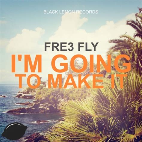 Fre3 Fly Im Going To Make It Danny Cotrell Remix By Fre3 Fly