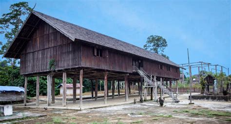 Dayak Traditional House Eigenschaften Einzigartigkeit Und Bilder