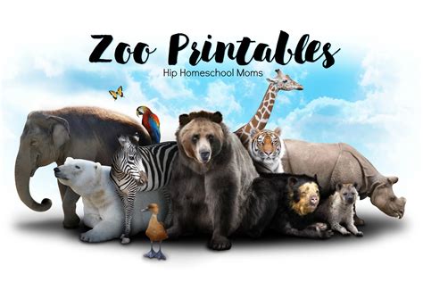 Zoo Related Printables Hip Homeschool Moms
