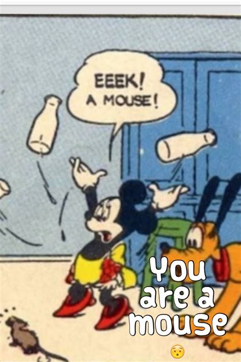 You Are A Mouse Really Funny Memes Stupid Funny Memes Funny Relatable