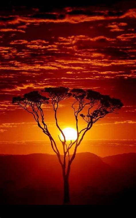 Beautiful Sunset Africa Nature Beautiful Sunset African Sunset