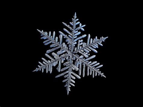 Real Snowflake 2018 12 182 Photograph By Alexey Kljatov Fine Art America
