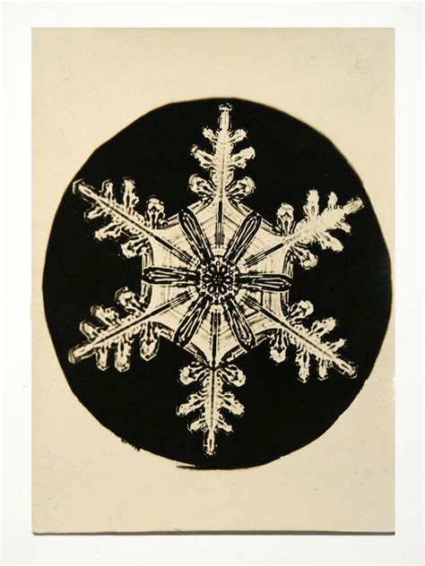 The Photographer Who Discovered That No Two Snowflakes Are Alike Artsy
