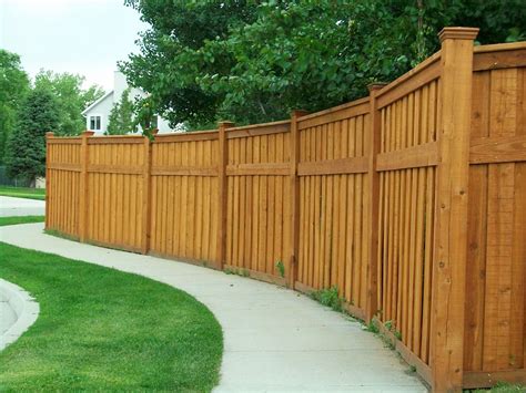 This is a picture of a bamboo privacy fence. begin...begin again: F is for Fences