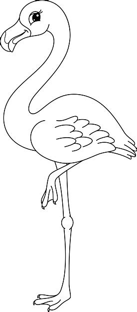 Flamingo Coloring Page Stock Illustration Download Image Now Istock
