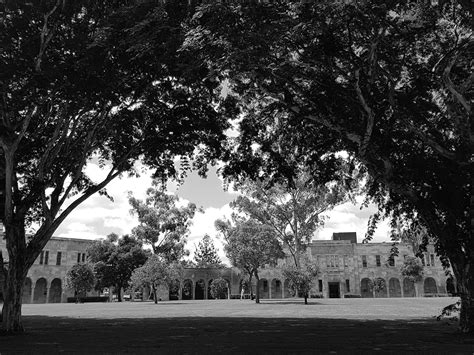 THE UQ INSIDER GUIDE