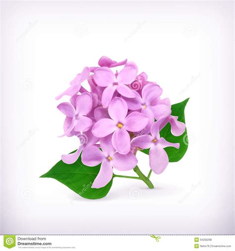 Lilac Flower Clipart 20 Free Cliparts Download Images On Clipground 2024