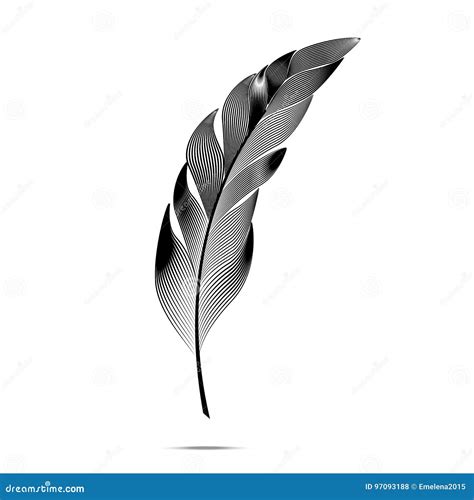 Black And White Large Curved Fluffy Feather Stock Illustration