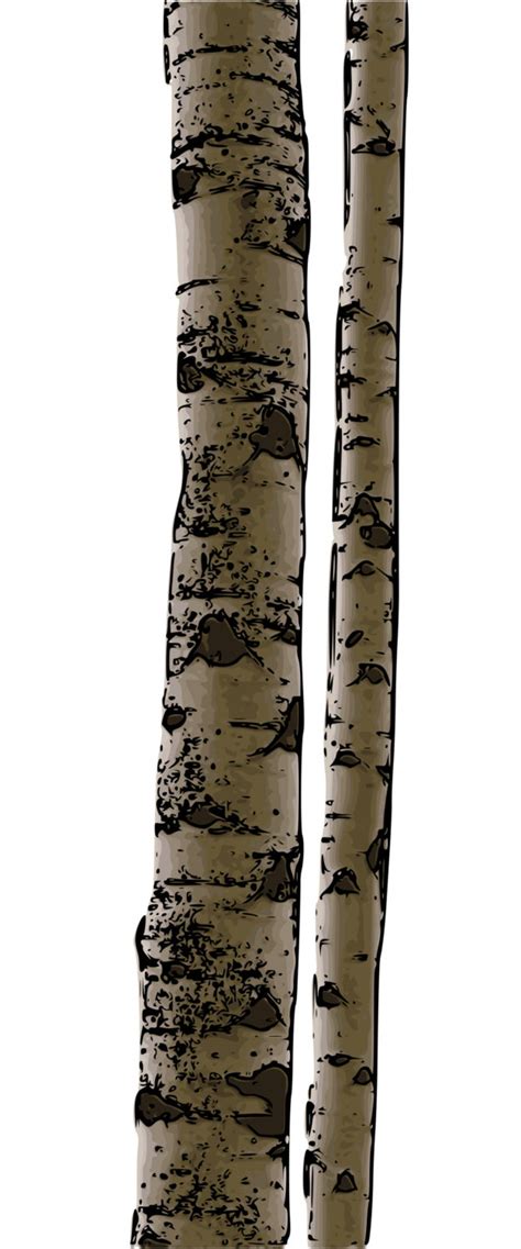 Birch Tree Clip Art Aspen Tree Clip Art Tree Clip Art Etsy