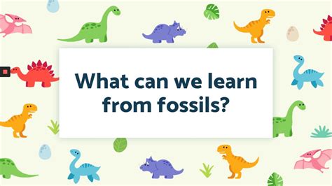 Year 2 History What Can We Learn From Fossils Youtube