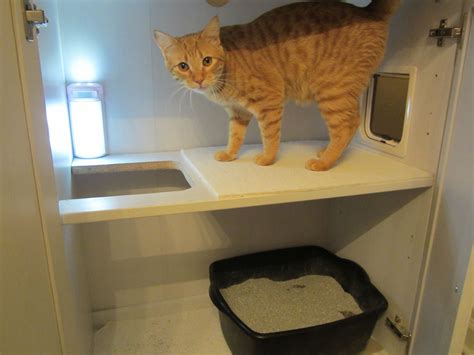 50 Diy Cat Litter Box Cabinet Kitchen Decorating Ideas Themes Check