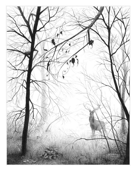The Best Free Fog Drawing Images Download From 71 Free Drawings Of Fog