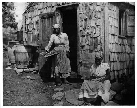 Rare Photographs Capture Daily Life Of The Danish West Indies In St Croix Virgin Islands In
