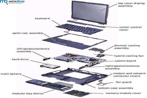 Exploring The Anatomy Of A Laptop A Comprehensive Diagram Guide