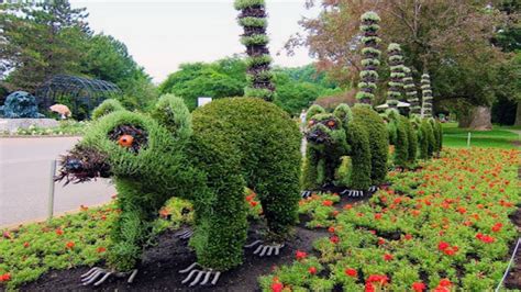 Plant Sculpture Art Youtube