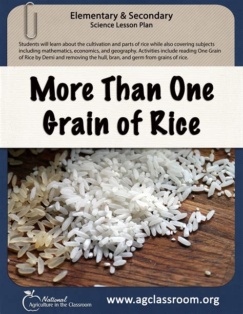 Cultivation Of Rice Grains Rice Grain Science Lesson Plans