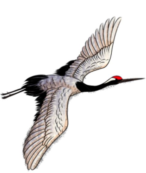 Crane Bird Animal Crane Birds Animal Png Transparent Clipart Image