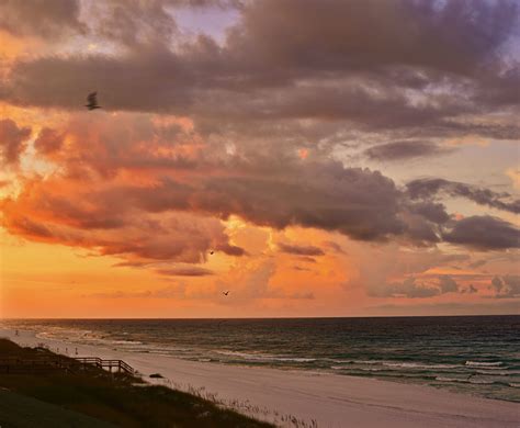 Destin Florida Beach Sunrise This Would Look Great In A Beach Home