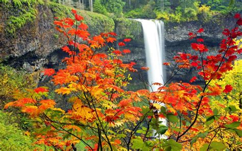 Hd Autumn Waterfall Wallpaper Download Free 103117
