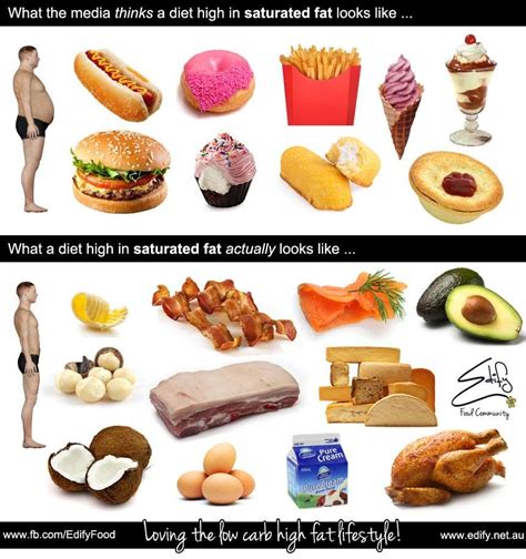 What A Diet High In Saturated Fat Actually Looks Like ~ Edify Best