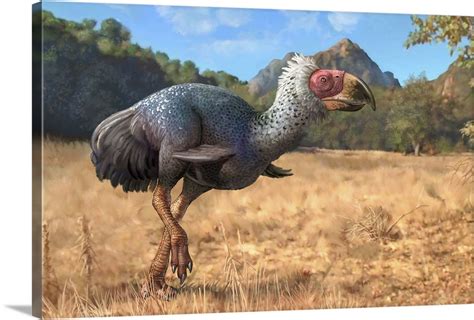 Titanis Walleri A Flightless Carnivorous Bird From The Pleistocene