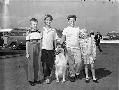 File Lassie At The Canadian National Exhibition 1955 