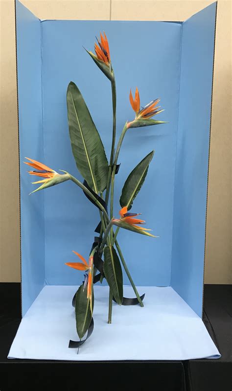 + add to my list. Springfield Mo 2018 Flower Show Symposium Design Study ...