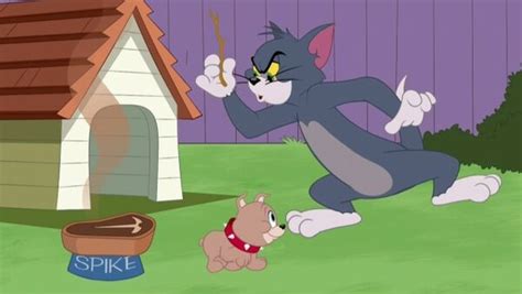 The Tom And Jerry Show Season 3 Episode 36
