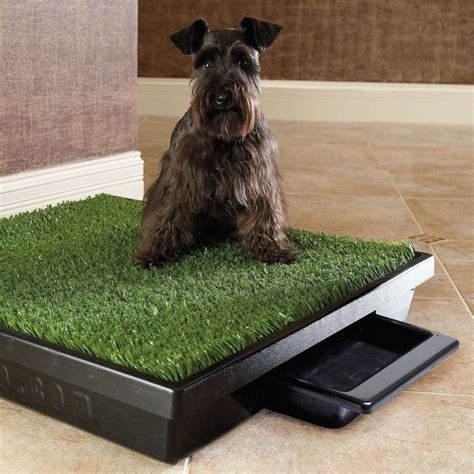 Replace glass tabletop with tile. 8930 large porch potty standard | Indoor dog potty, Dog potty, Dog grass box