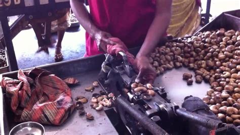 From wikimedia commons, the free media repository. Cashew nut factory (part2) - YouTube