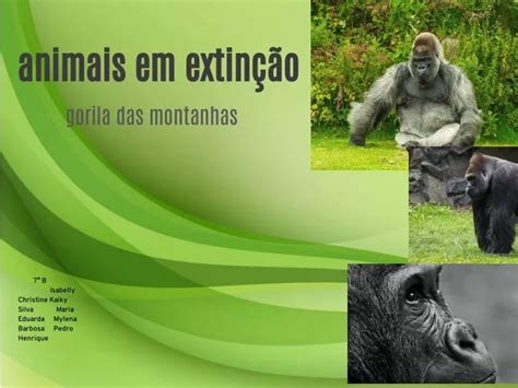 PPT animais em extinção PowerPoint Presentation free download ID