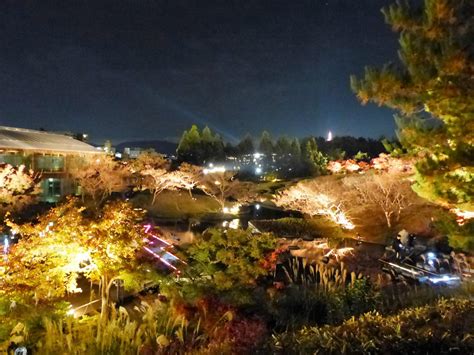 梅小路公園「紅葉まつり」朱雀の庭ライトアップ見てきました。2016 まじくんママのぷち旅ぶろぐ