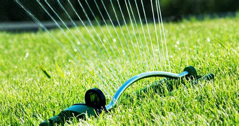 We did not find results for: How Much Water Does Your Lawn Need? - Delea Sod Farms