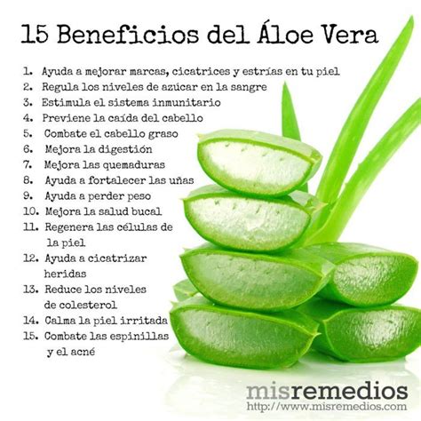 7 Beneficios De La Sábila O Aloe Vera Tipsnutritivos Hot Sex Picture