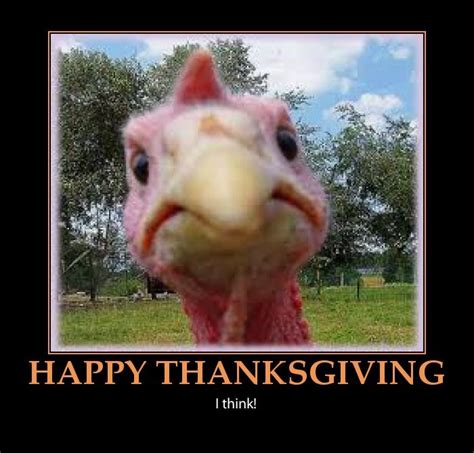 Happy Thanksgiving 2014 Funny Turkey Pictures Thanksgiving Turkey