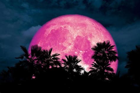 Tonights Super Pink Moon Linked To ‘end Of Days Omen A ‘rebirth And