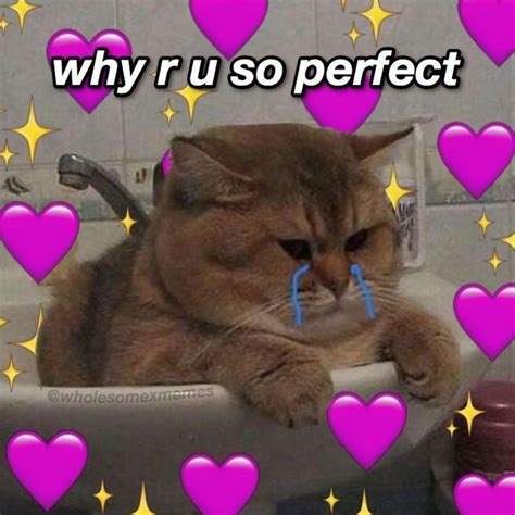 Pin By J On Wholesome Stuff Cute Memes Cute Love Memes Cute Cat Memes