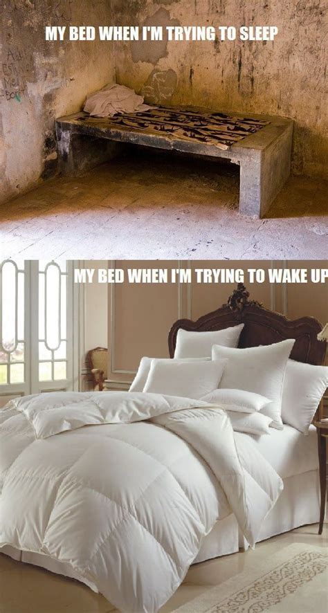 Getting In And Out Of Bed Stupid Funny Funny Pictures Funny