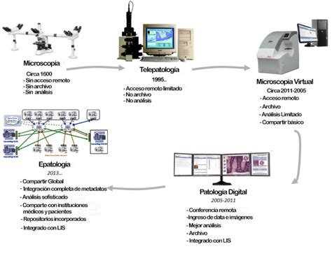 ¿qué Es La Patología Digital
