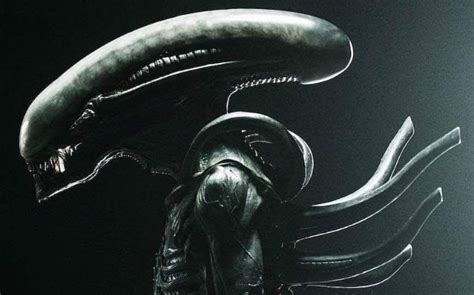 Xenomorph Xx121 Wiki Alien Versus Predator Universe Amino