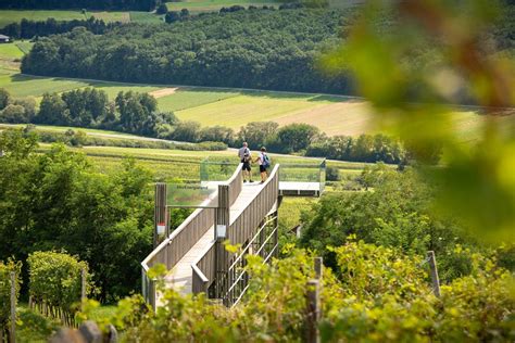 Urlaub Im Burgenland Die Schönsten To Dos 1000things