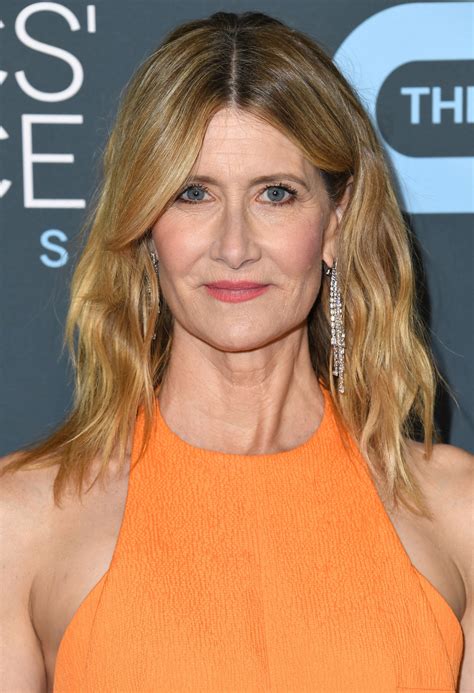 It's an honor to not only be part of this film but at. Laura Dern Wore Sunrise-Inspired Makeup At The Critics Choice Awards