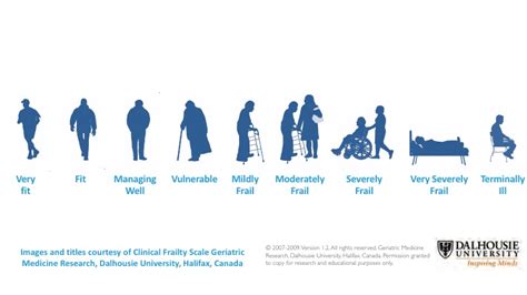 Identifying And Assessing Frailty Frailty Toolkit