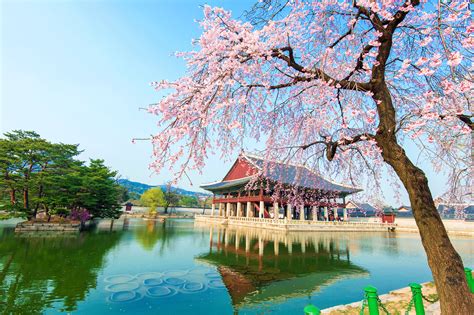 South Korean Landscape Wallpapers 4k Hd South Korean Landscape