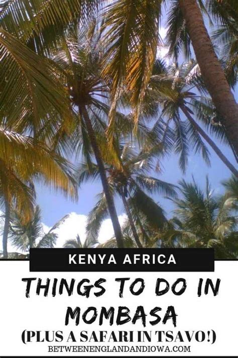 Things To Do In Mombasa Kenya And My Safari In Tsavo Between England