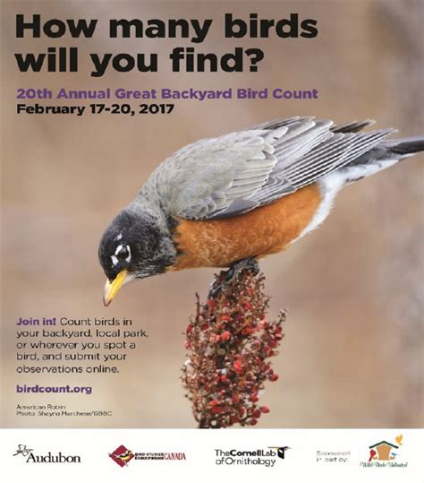 The 13th annual great backyard bird count (gbbc) results are in. 2015 Great Backyard Bird Count