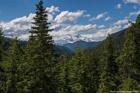 Interessante Fakten über Die Cascade Range Kgsau