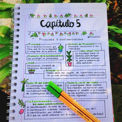 Ideas De Apuntes Bonitos By Princolitas On Instagram Studygram