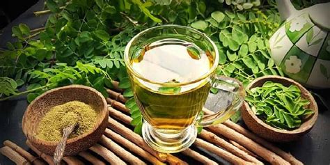 Salah cara mengolah daun kelor bisa berakibat pada munculnya efek samping daun kelor. Cara Mengolah Daun Kelor Untuk Kanker : Kelorina Pembuatan ...