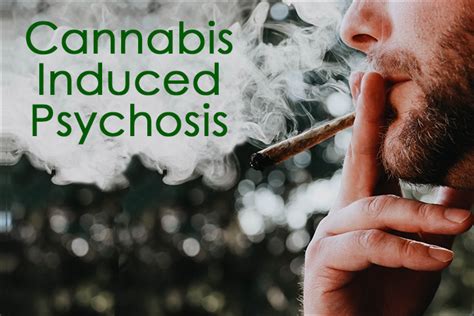 cannabis induced psychosis symptoms and treatment summit malibu
